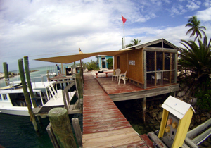 Rum cay Reef diving